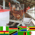 Contact us for African agents connection broiler cage system farm